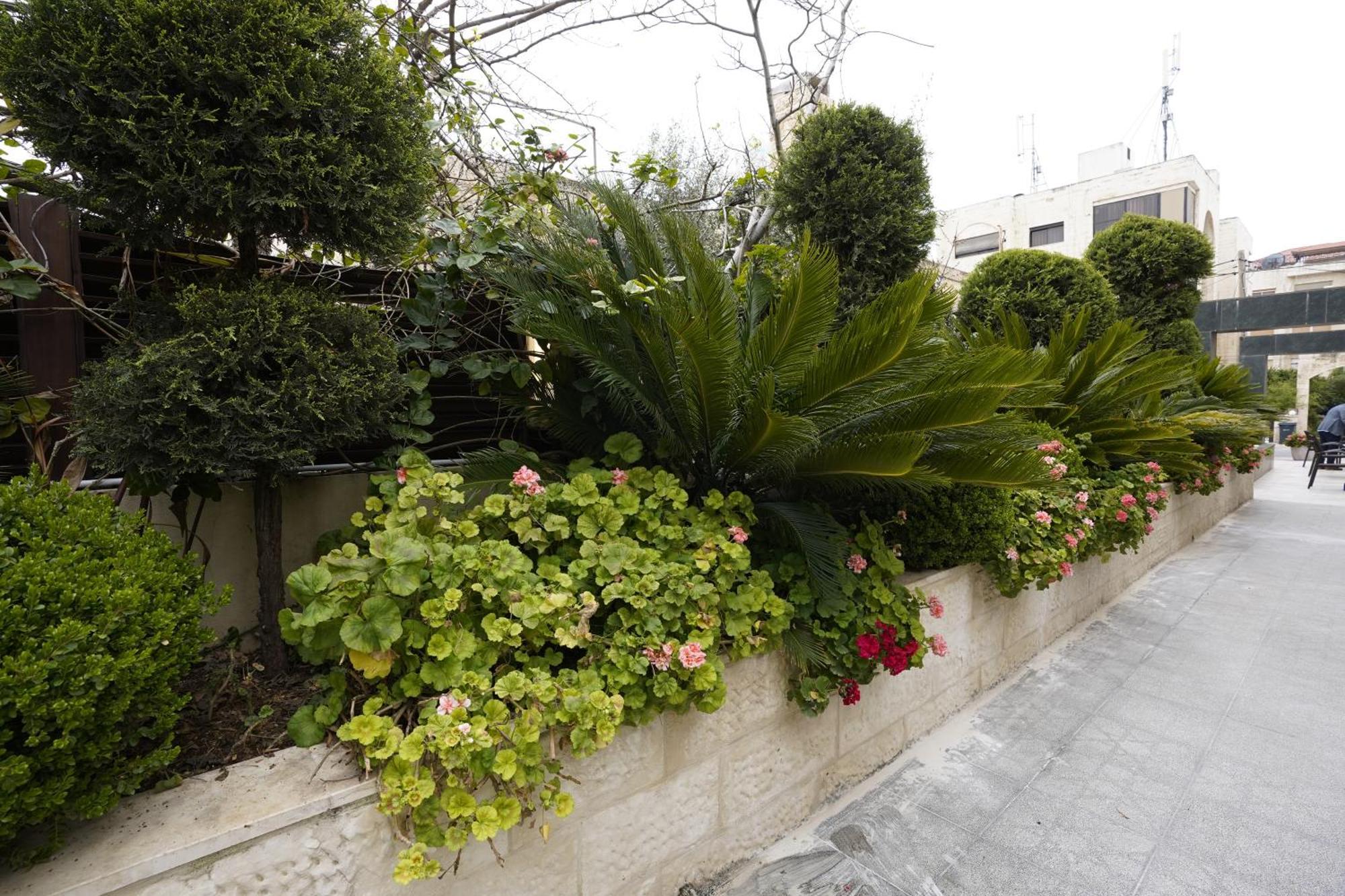 Naylover Hotel Suites Amman Exteriör bild