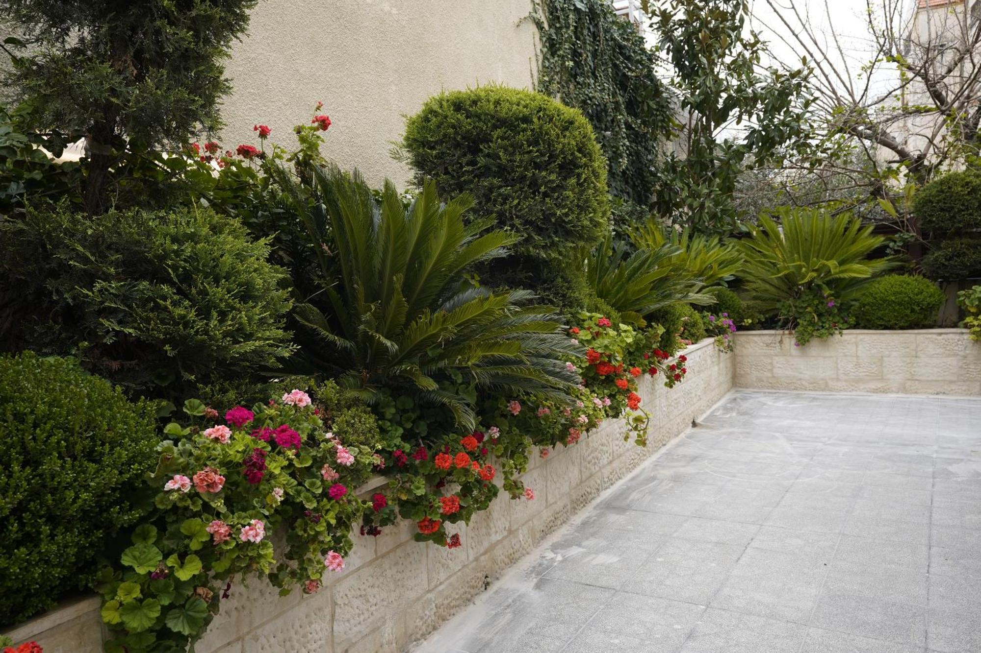Naylover Hotel Suites Amman Exteriör bild